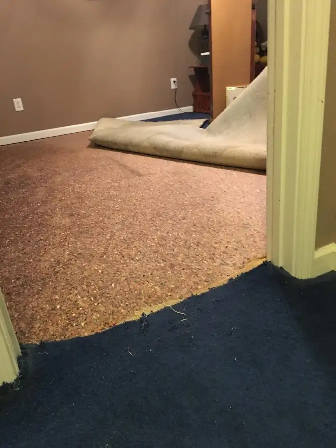 Carpet pad removal revealing water damage during Drying & Dehumidification in Spring Garden
