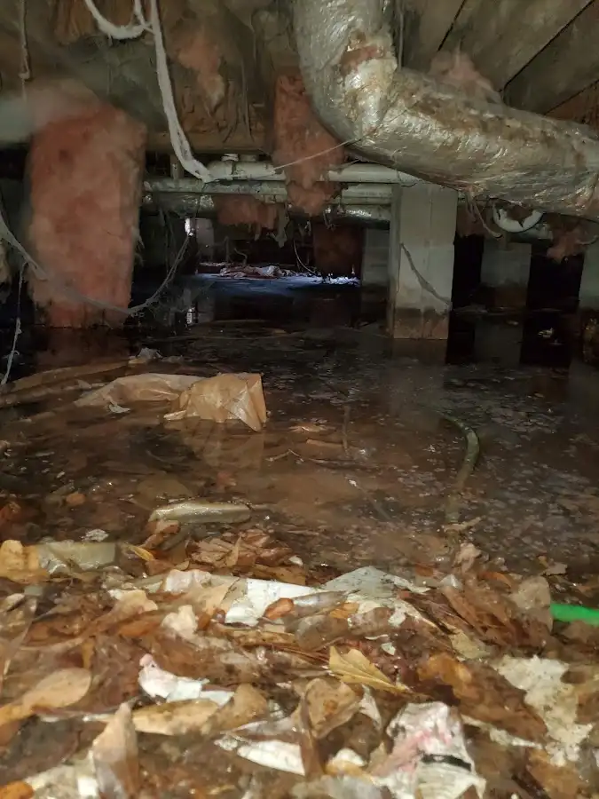 Crawl space flood assessment for Leak Detection & Repair in Spring Garden